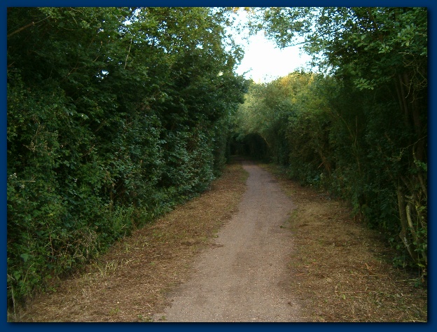 600x449 pixels (165K)